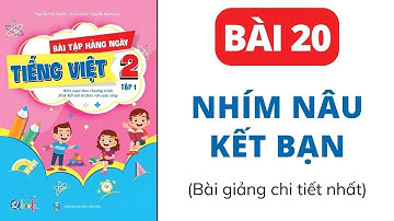 Bài 20 - Nhím Nâu kết bạn | Bài tập hằng ngày | Tiếng Việt lớp 2 | Kết Nối | Cô Uyển Uyển (Mới)
