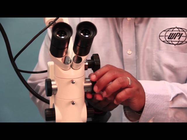 Comment installer correctement votre microscope optique? - Kalstein