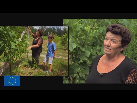 Video: Emilia Romagna: Region přiděluje 5 milionů eur pro mladé farmáře