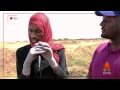 Da Al Zait دا الزيت 04 لبابه والسيول والامطار Da Al Zait دا الزيت 04 لبابه والسيول والامطار