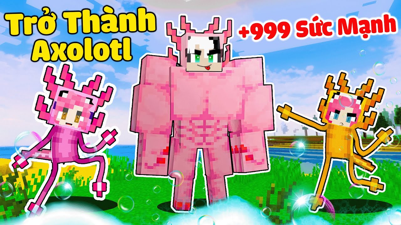 Mều Thử Thách 24Giờ Sống Cùng Gia Đình Axolotl Trong Minecraft*1 Ngày  Redhood Làm Kỳ Nhông Biển Mcpe - Youtube