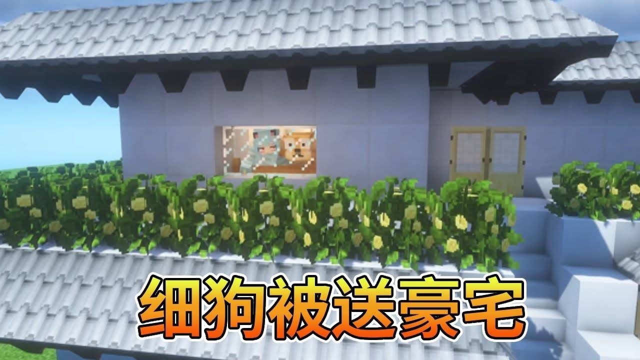 我的世界：我的娃娃亲，细狗被送豪宅，彻底沦陷【我的世界细狗】