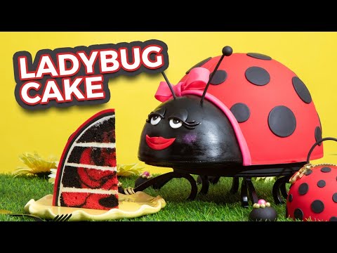 Ladybug CAKE! | Red & Black Marble Cake | How To Cake It