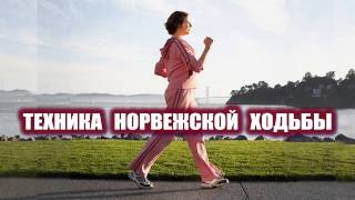 Начинающим 2 Скандинавская Ходьба Начинающим 2 Скандинавская Ходьба