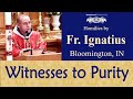 Chaste example of St Charles Lwanga - Jun 03 - Homily - Fr Ignatius