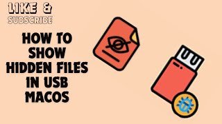 How to Show Hidden Files in USB MacOS