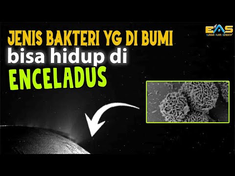 Video: Apakah Enceladus layak huni?