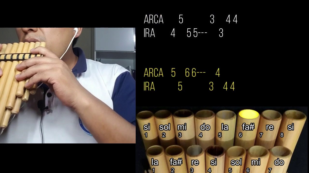 El pastor solitario - James Last