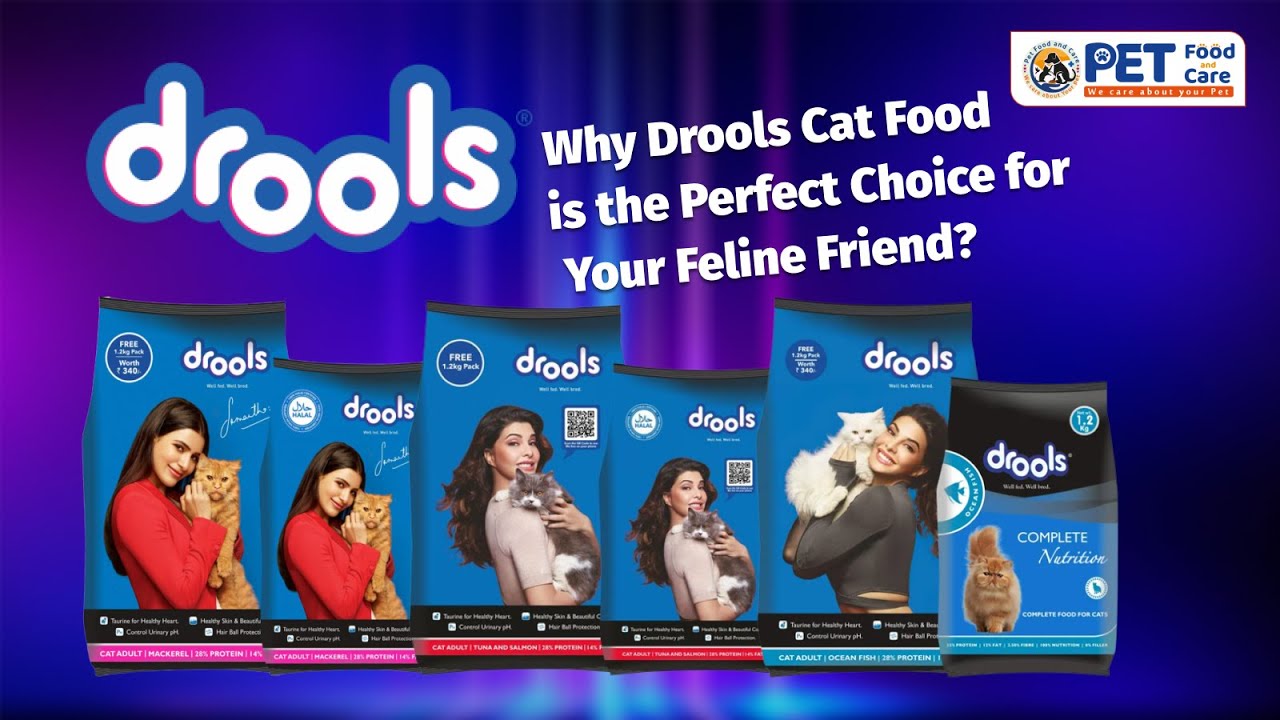 Why Drools Cat Food is the Perfect Choice for Your Feline Friend | Pet Food and Care