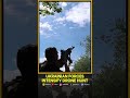 Ukraine Counters Russian Drones on Frontline π