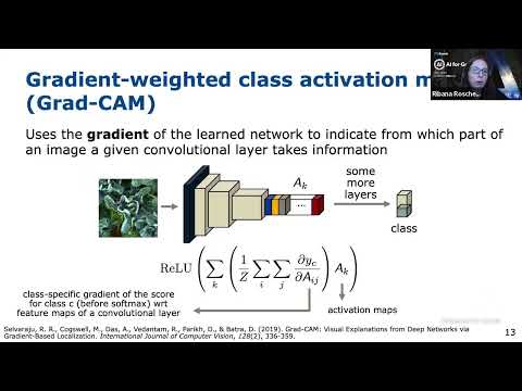 Explain it to me! On the use of explainable ML for the agricultural and environmental sciences