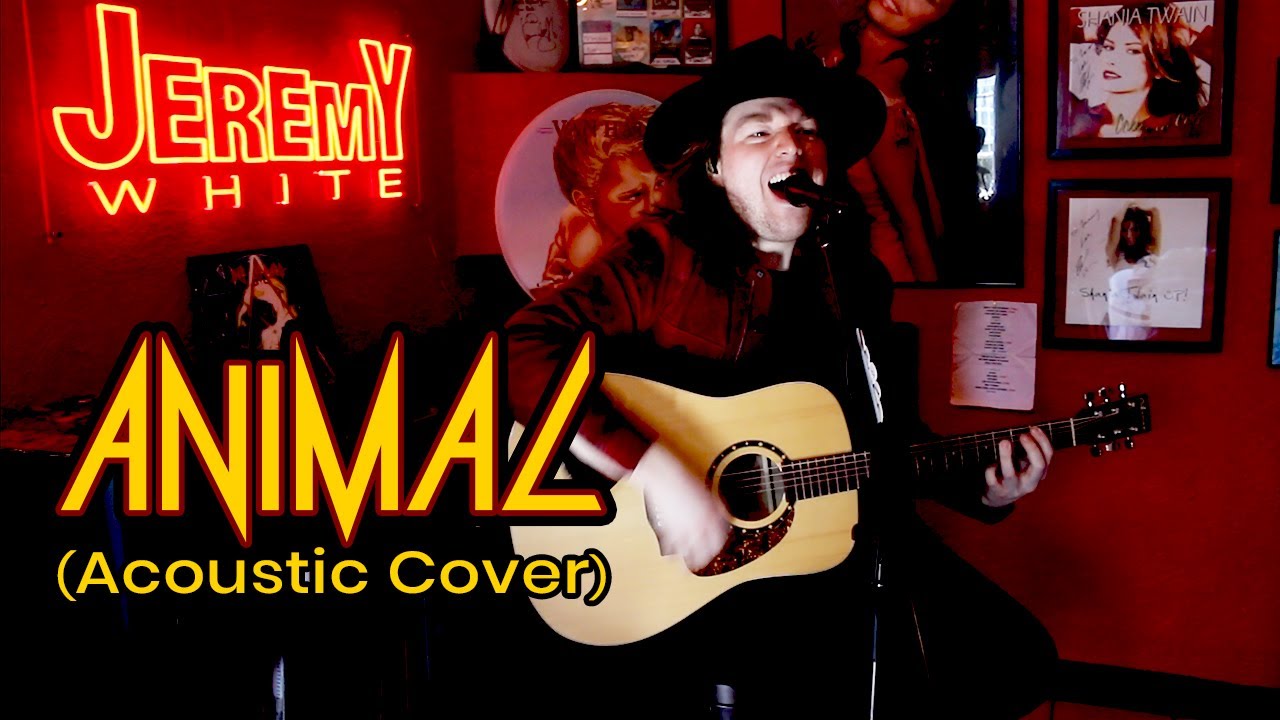 Def Leppard Animal Acoustic Cover By Jeremy White Youtube