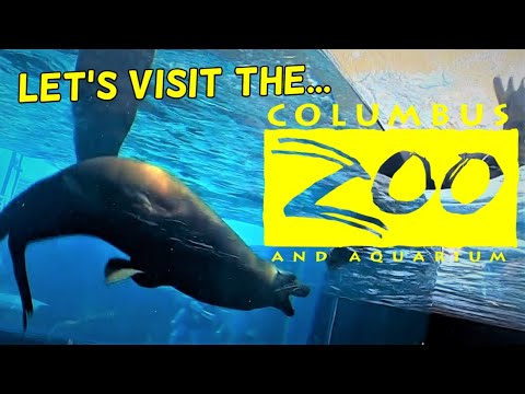 🦁Columbus Zoo And Aquarium 🐯 Columbus, Ohio | Quick Tour