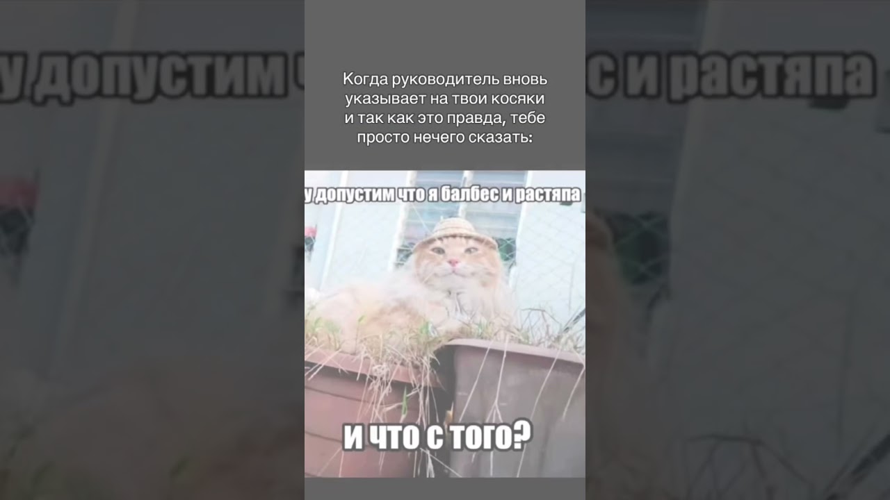 15% скидка на основное меню - Кавински02Тгк Diskettelounge812