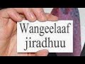 Waqayyoo Hidha Ke Hikka Lallabba Rajji Bacaara Waqayyoo Hidha Ke Hikka Lallabba Rajji Bacaara