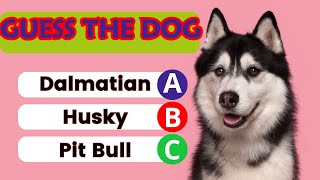 Guess the dog Breed Quiz