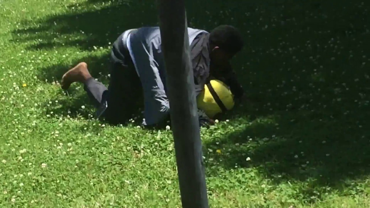 catching predators catching predators