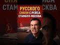 🇷🇺 Русского сняли с рейса Стамбул–Москва за оскорбление турков!