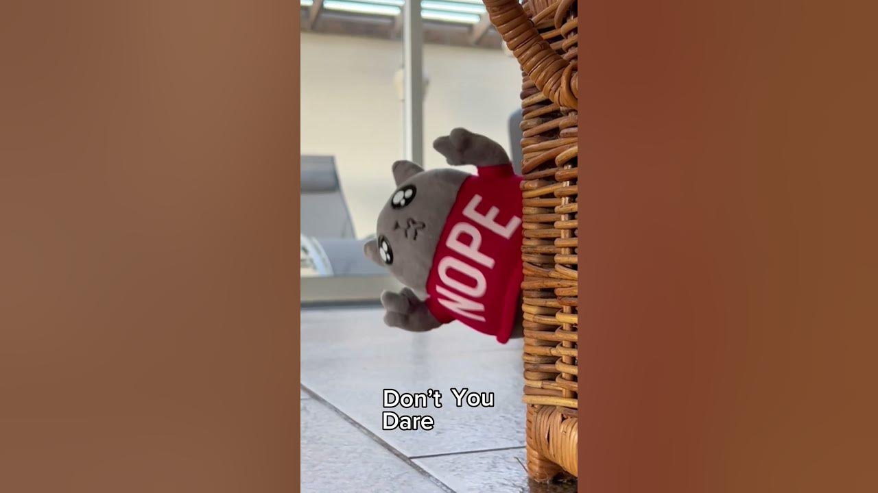 #explodingkittens #throwthrowburrito #howtoplay - YouTube