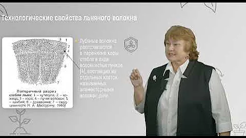 10 1  Лен