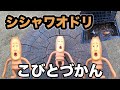 【シシャワオドリ】を見つけた。【こびとづかん】