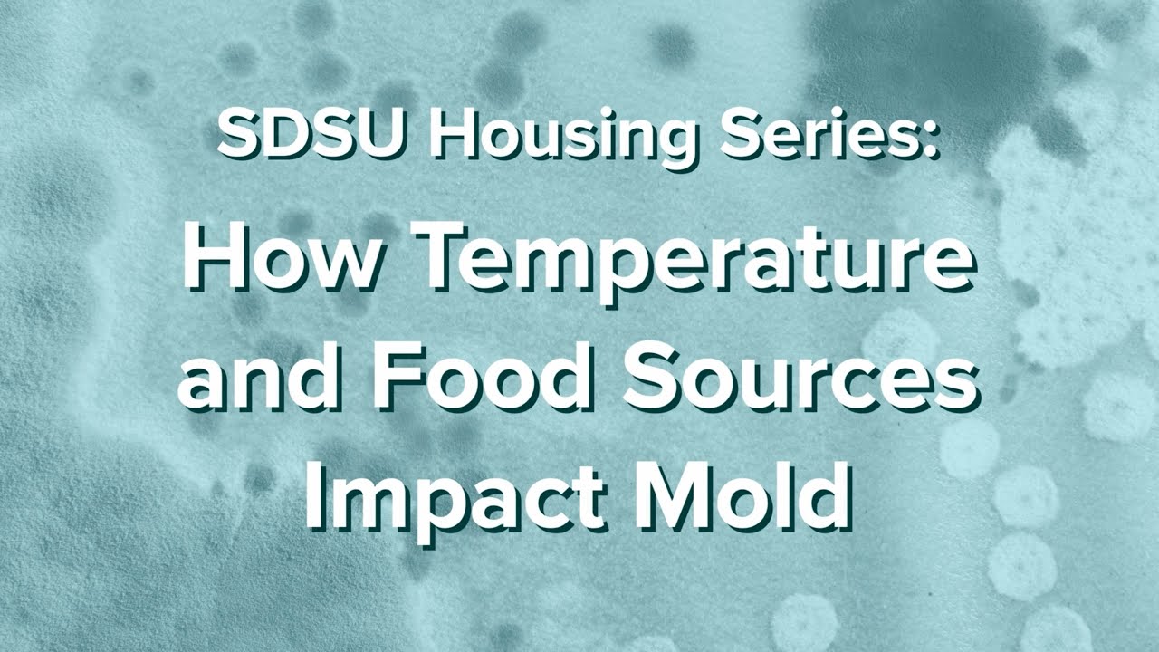 How Temperature and Food Sources Impact Mold - SDSU Housing Series: Part 2