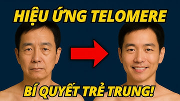Giải Nobel Y học Tiết lộ: Hiệu ứng Telomere - Bí mật Để Cơ thể TRẺ TRUNG!