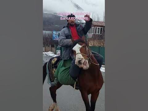САЛАМ АЛЕКУМ БАЧАХОИ ГАРИБ. - YouTube