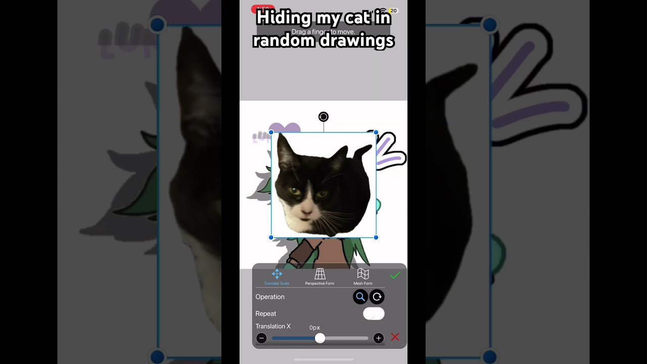 Hiding My Cat In Random Drawings Art Drawing Speedpaint LumineArt