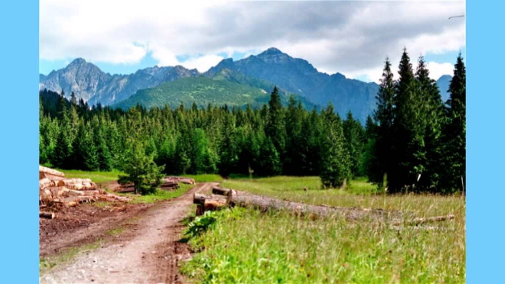 Spolok skúsených spevúľ - Dala by ti,dala