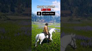 The path to the hidden treasure in RDR2 #rdr2 #reddeadredemption2