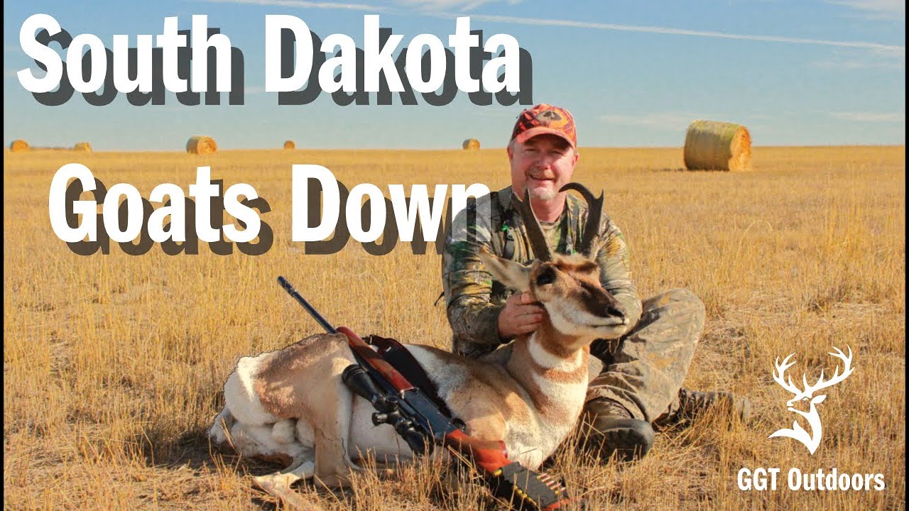 South Dakota Antelope Hunt Father Son YouTube south-dakota-antelope-hunt-father-son-youtube