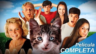 Un divertido gatopsicólogo resuelve conflictos familiares / Pelicula de Comedia Drama Familia