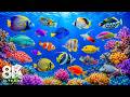 Underwater Wonders 8K | Marvel at Beautiful Sea Life in a Stunning 4K Aquarium 🌊 Sleep Music #5