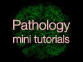 Pathology Mini Tutorials Trailer 2022