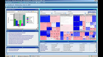 Deltek Vision 5 minute video