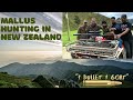 Hunting Vlog || Malayalam|| New Zealand