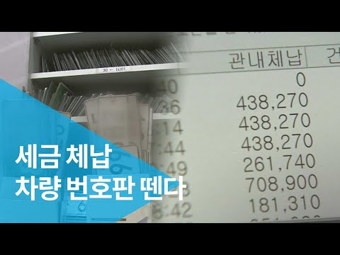 자동차의무보험과태료