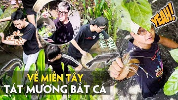 TÁT MƯƠNG BẮT CÁ KHỦNG KHI VỀ MIỀN TÂY - Ben tre | Hành Trình Việt Nam P4