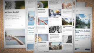 PostBoard – A Dynamic Grid Based WordPress Theme + Download