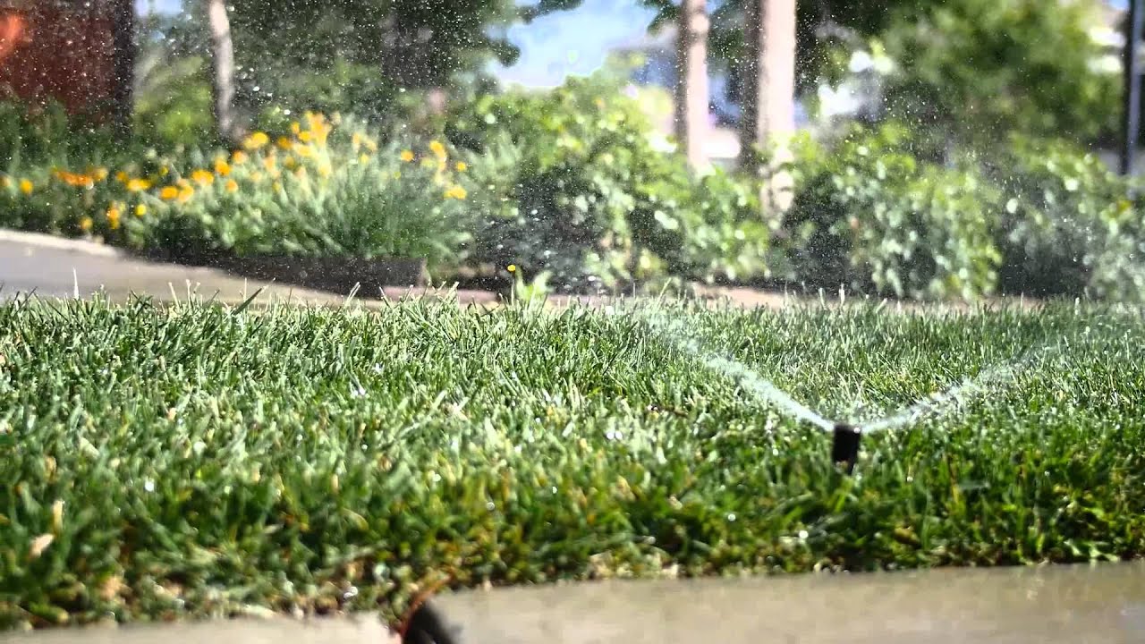 Mountain House & California's Water Shortage