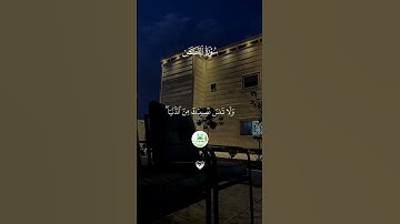 سورة القصص _ " الآية 76 - 77 "  🕋