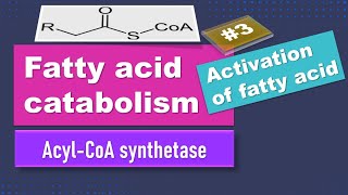 Activation of fatty acids: Fatty acid oxidation: Part 3:  biochemistry