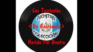 Los Terricolas - Herido Por Dentro chords