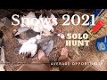 Solo Snow Goose Hunt. Finishing Snows in the Decoys