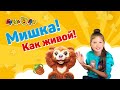 Арина и волшебный Русский Мишка. #Cubby Bear от #FurReal и #hasbro