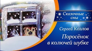 Сказки на ночь  |  Сергей Козлов - Поросёнок в колючей шубке | Зимние сказки | Аудиосказки для детей