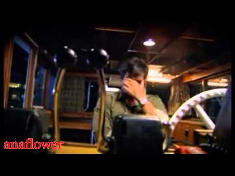 جرالى ايه عمرو دياب