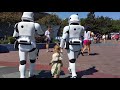 Don't Mess with the First Order - Star Wars