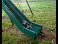 Kittens playing on a slide new version